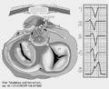 Thumbnail for version as of 18:44, 28 December 2010